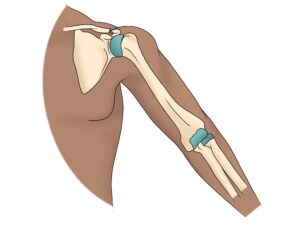 Shoulder and Elbow Pain